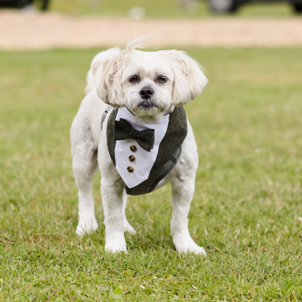 Candid moment of a groom relaxing during morning preparations