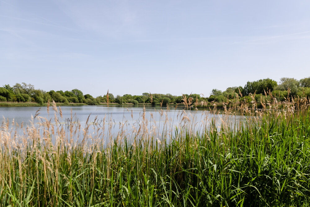 Lake and reeds at the Cotswold Water Park — natural landscape backdrop surrounding the De Vere wedding venue