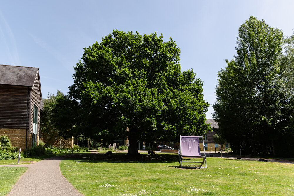 De Vere Cotswold Water Park hotel grounds with mature oak tree and open lawn — wedding venue gardens