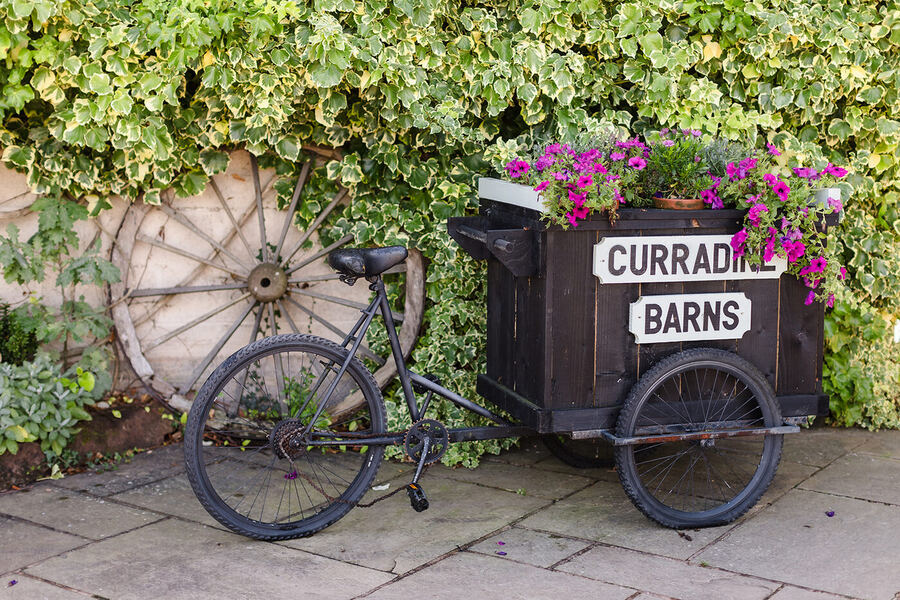 Curradine Barns branded bicycle flower cart with pink petunias, against ivy-covered stone wall